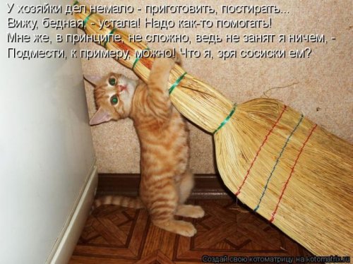 Детская котоматрица (17 шт)