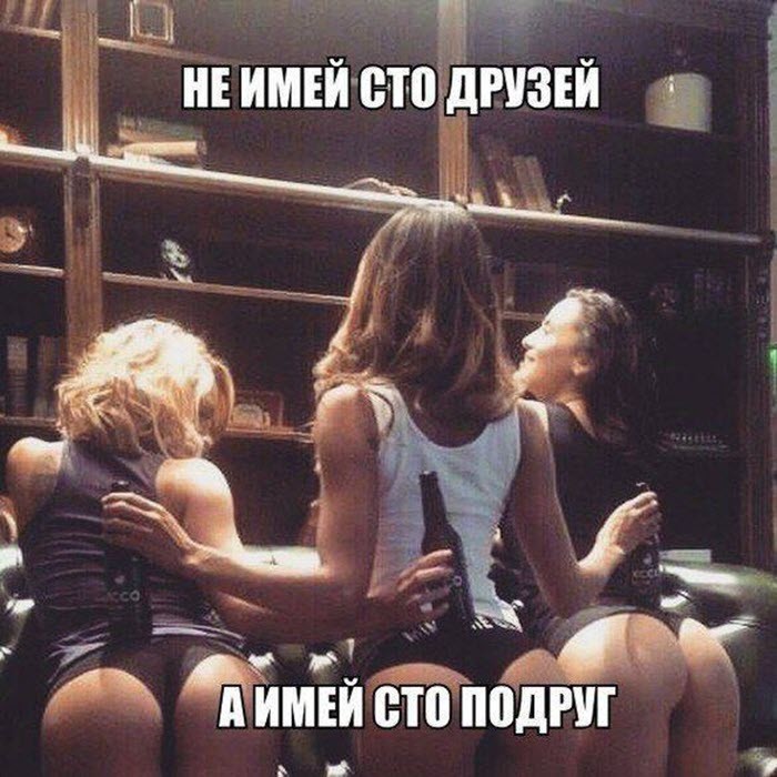 Еноты и не только.. Фото-приколы! Смешные прикольные картинки, фото приколы