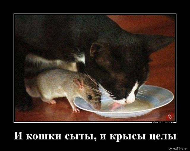 Традиционная коллекция прикольных демотиваторов на любой вкус 