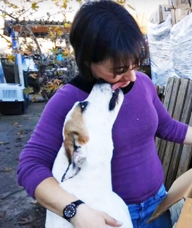 Собака и женщина