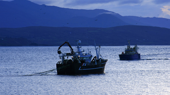 В России самая сильная в мире антимонопольная служба. Но цены всё равно растут россия