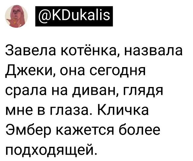 Подборка забавных твитов обо всем Подборка забавных твитов обо всем