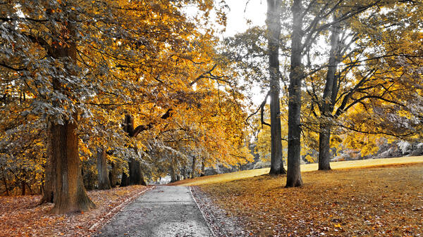 Как отмечали Проводы осени 1 ноября — традиции и приметы праздника - свежие новости на Toplenta по теме В мире - новости