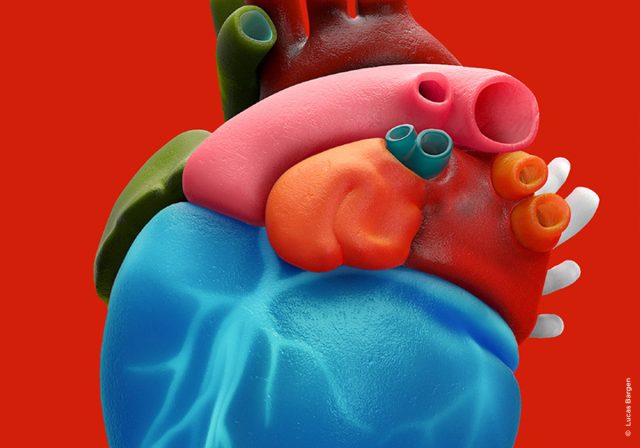 Сбился ритм. Почему возникают сердечные аритмии и как их предотвратить Медицина и здоровье