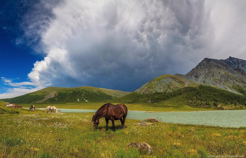 Горный Алтай (фото)