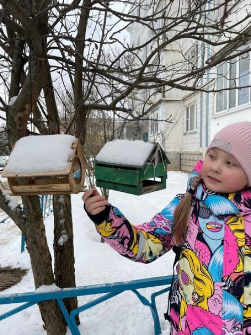 Наступили холода, голодно синичкам. 05