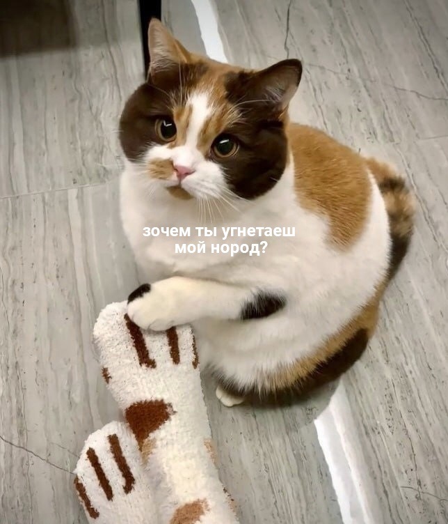 Немножко смешных зверушек... Надёргано , отовсюду