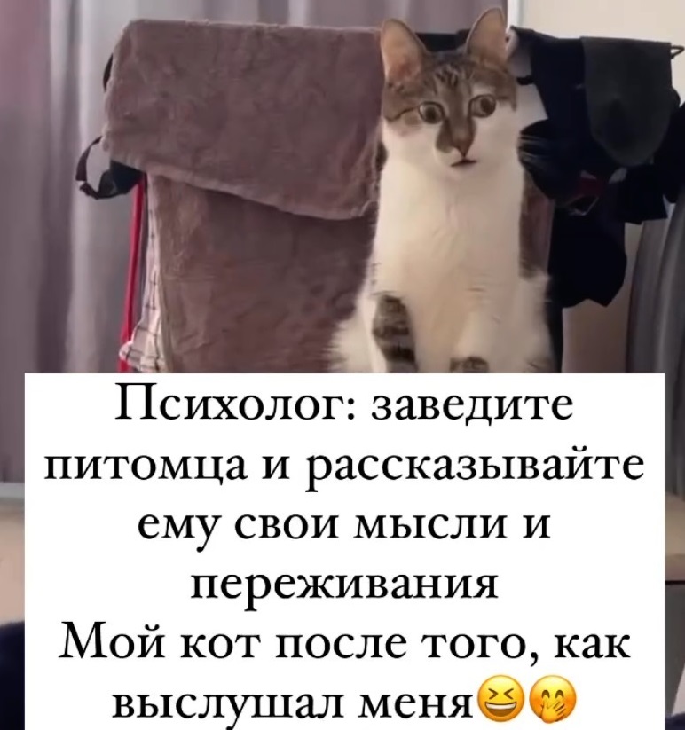 Немножко смешных зверушек... Надёргано , отовсюду