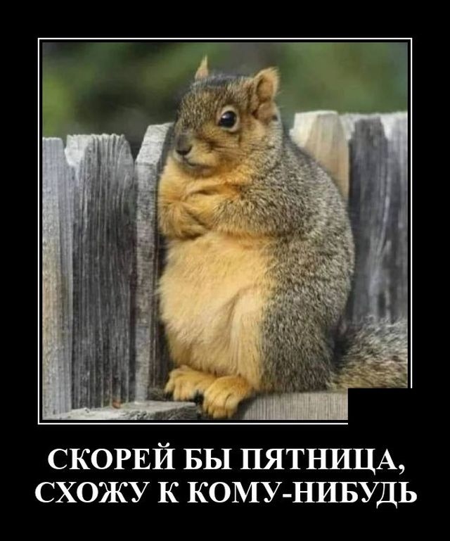 Юмор из интернета 748 позитив,смех,улыбки,юмор