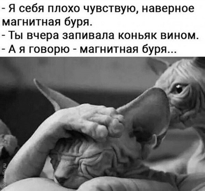 Алкоприколы Алкоприколы позитив,смешные картинки,юмор