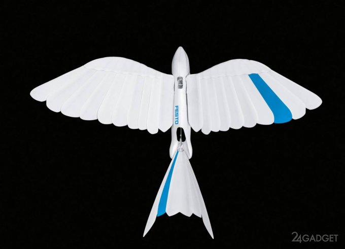 Робот-птица BionicSwift с искусственным оперением BionicSwift, робота, выполнен, полностью, создании, использовались, крыльев, роботы, технологии, оперением, Каркас, приближен, искусственным, покрыт, крылу, птичьему, Современные, Дизайн, максимально, ламелей