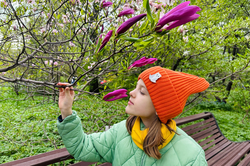 5. Без подписи