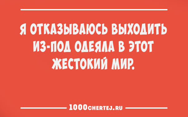 Всем смеяться в виброрежиме.))) Винегрет из шуток, статусов и приколов 