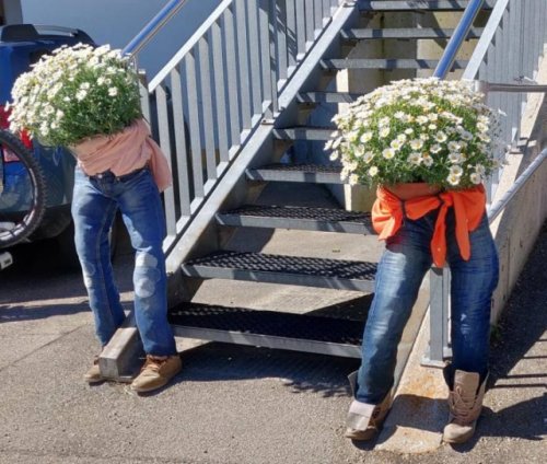 Прикольные картинки для всех Прикольные картинки для всех