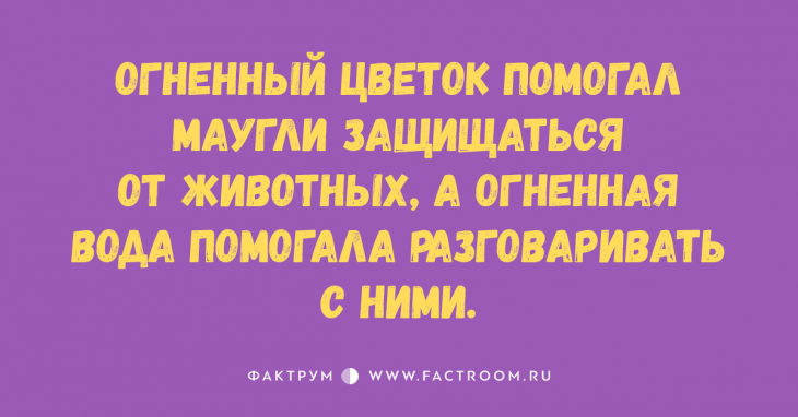 Двадцатка прикольных анекдотов, которые принесут вам позитивные эмоции