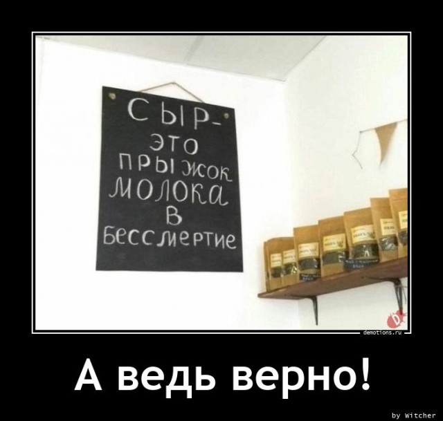 Традиционная коллекция прикольных демотиваторов на любой вкус 