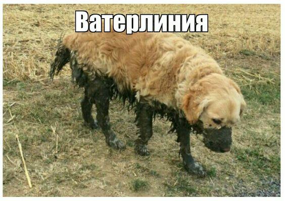 Клевые свежие картинки с надписями Клевые свежие картинки с надписями