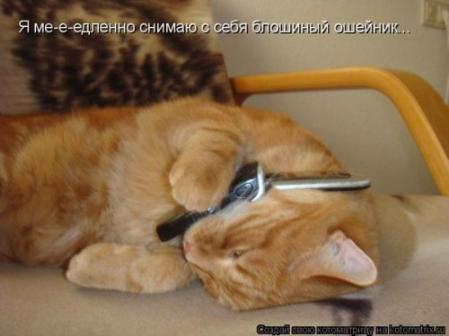 Улыбнись! Улыбнись! демотиваторы