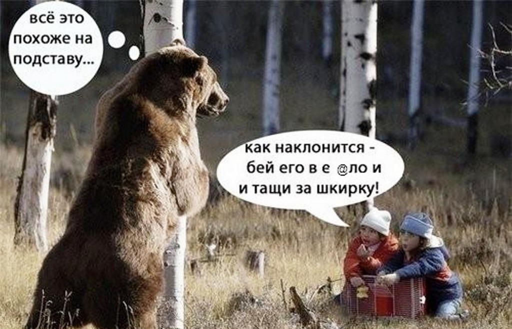 Прикольные картинки подстава, победа юмор верить
