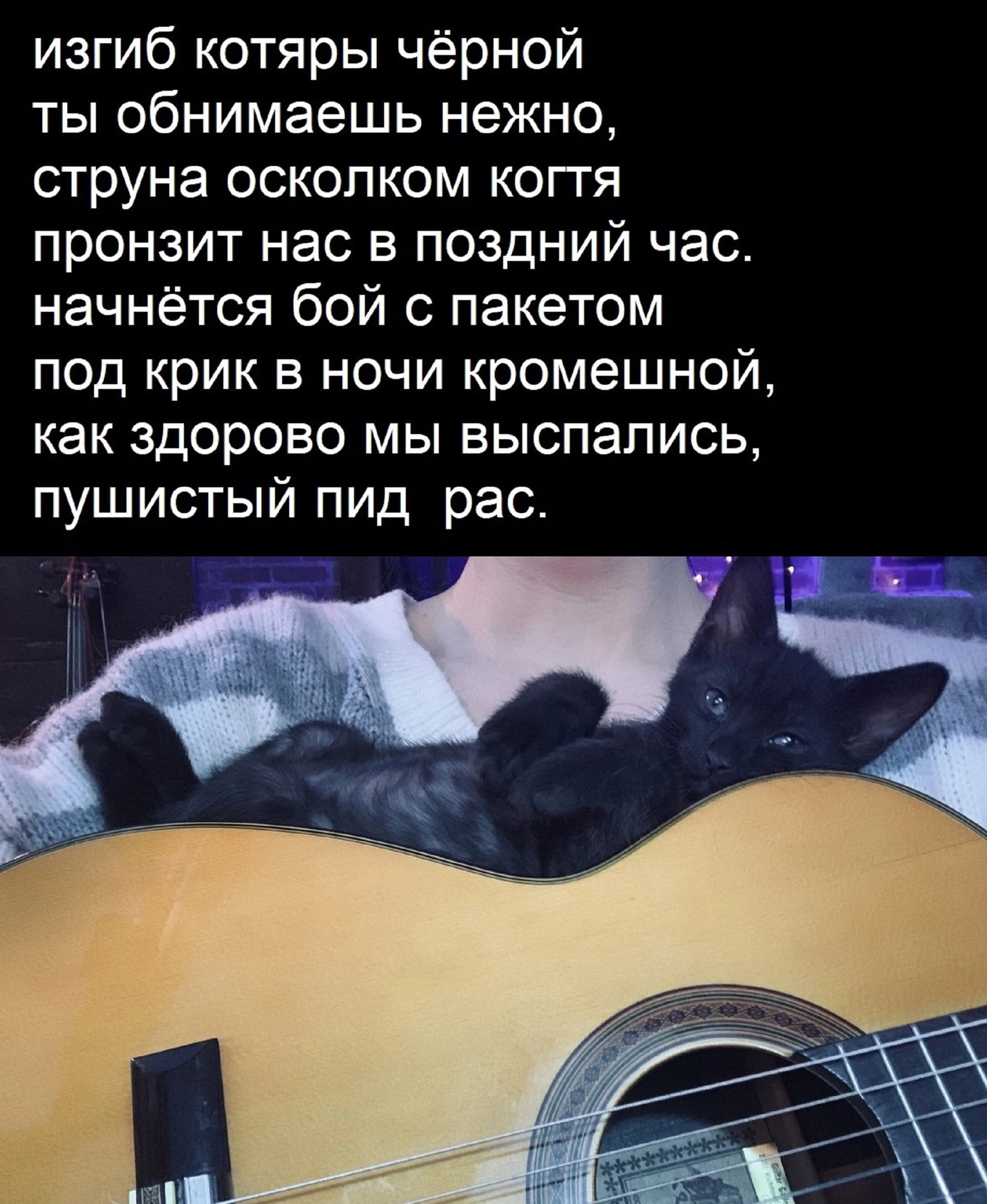 Немножко смешных зверушек... Надёргано , отовсюду