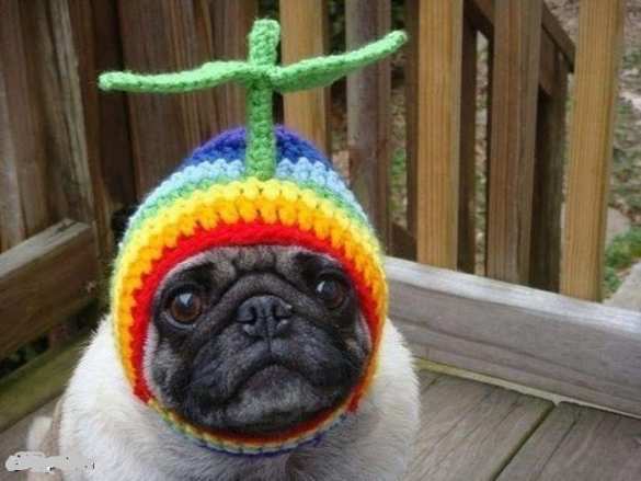 Эстония выдвинула ультиматум Китаю из-за поддержки России | Русская весна