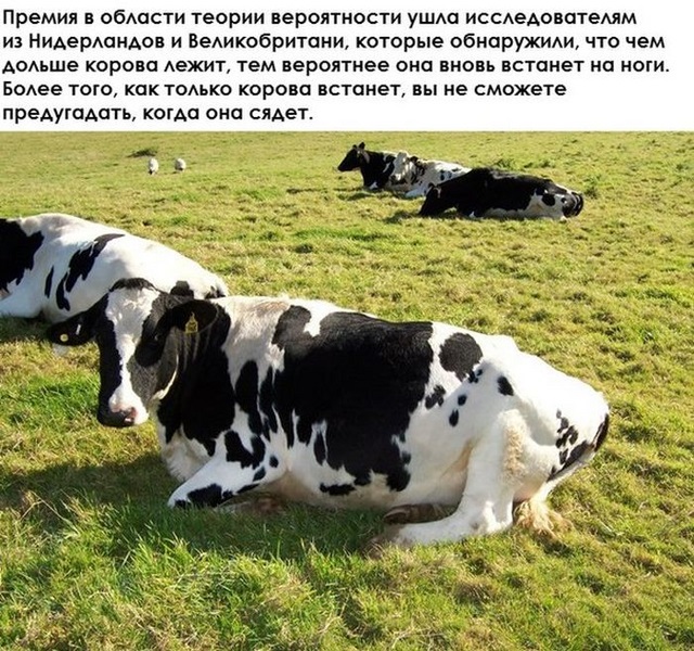 Необычные исследования в разных областях 