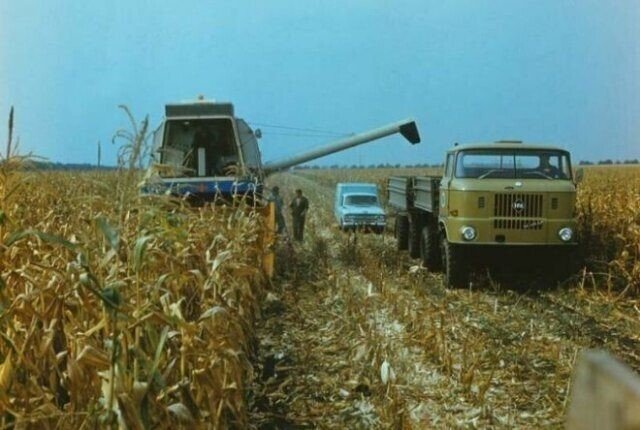 Снимки из СССР, навевающие тёплые воспоминания