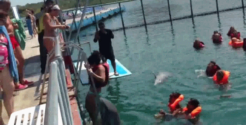 Подборка жизненных гифок на выходные 