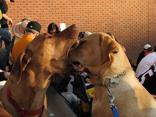 Давайте улыбаться вместе! :) (39улыбок)