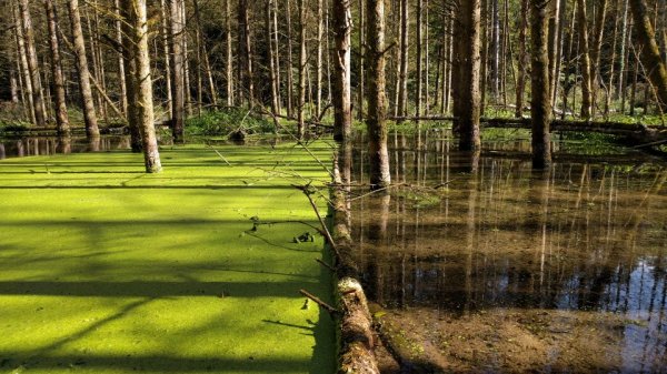 Здесь структура воды резко обрывается