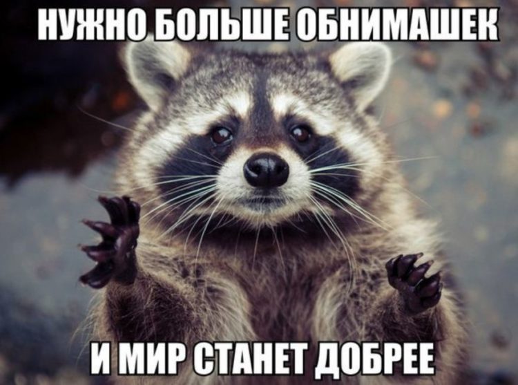 Прикольный юмор в картинках с ржачными надписями