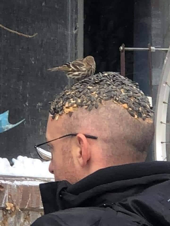 Подборка прикольных картинок  приколы,смешные картинки,юмор