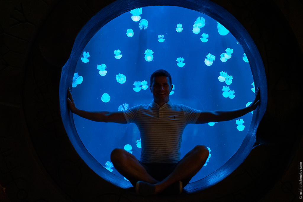 Дубай: успеть за 10 дней авиатур