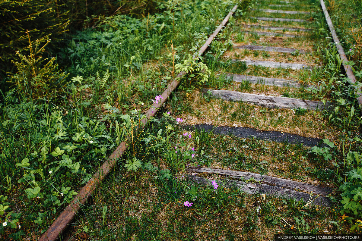 Заброшенный железнодорожный мост в Новгородской области: шедевр промышленной архитектуры автотуризм