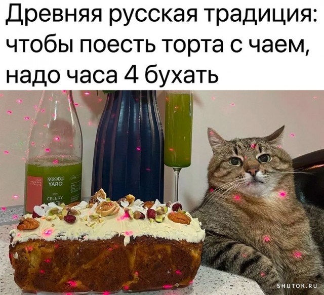 Самые смешные картинки с надписям 