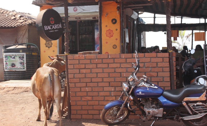 14 особенностей Гоа, о которых нужно знать, чтобы провести отпуск максимально круто 14 особенностей Гоа, о которых нужно знать, чтобы провести отпуск максимально круто заграница,отдых,отпуск,путешествие,туризм