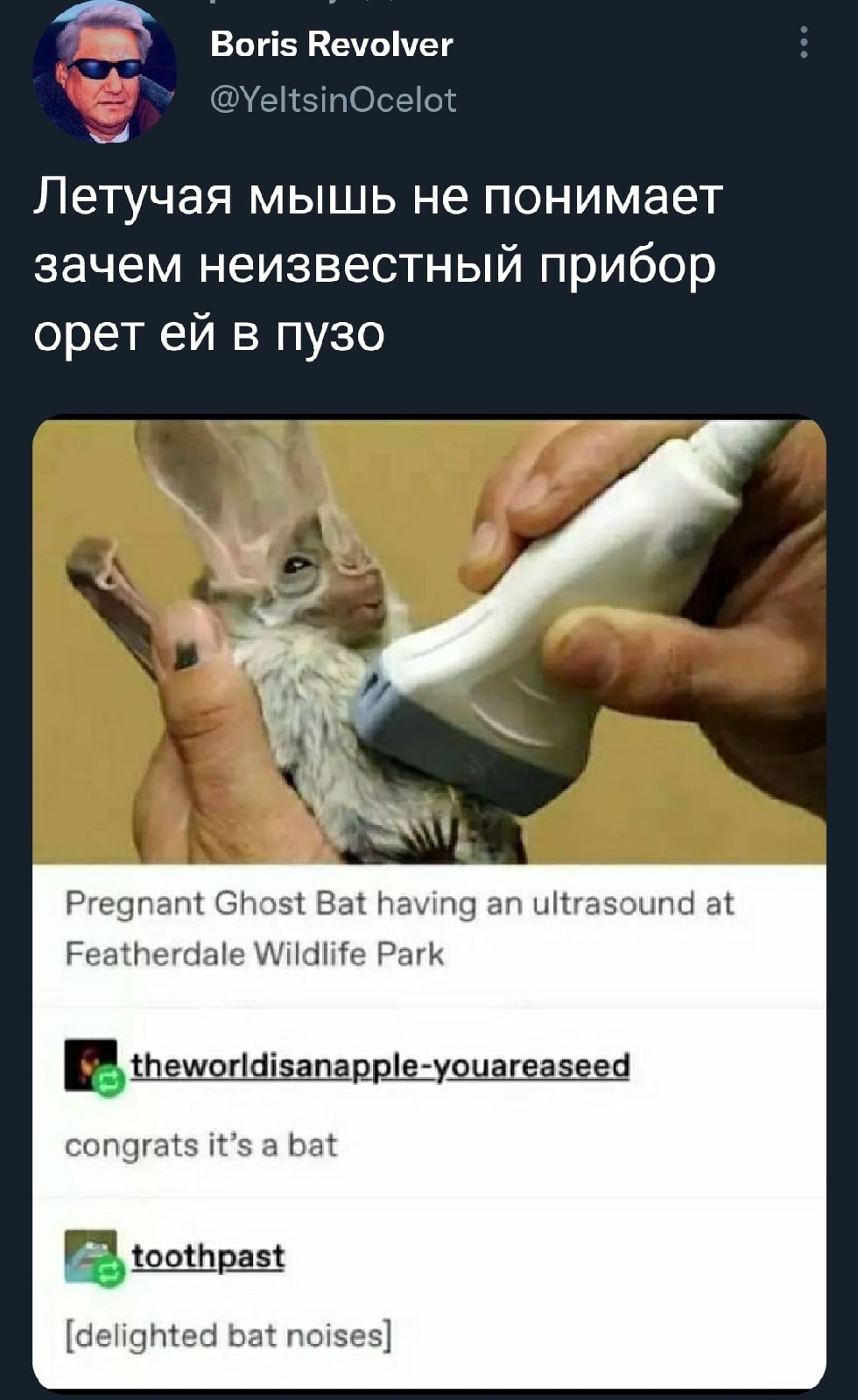 Юмор из интернета 698 анекдоты,позитив,смех,улыбки,юмор