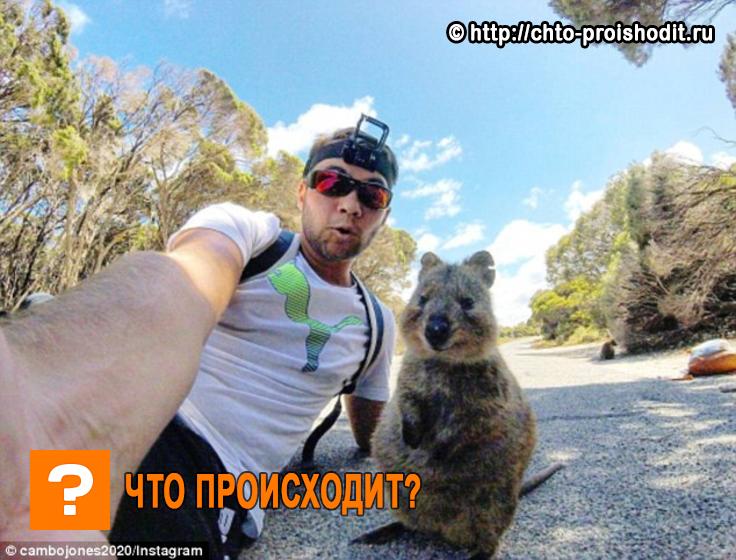 селфи с квоккой