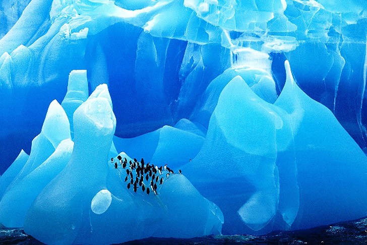 Поэзия льда: айсберги и ледники планеты айсберги,глобальное потепление,ледники