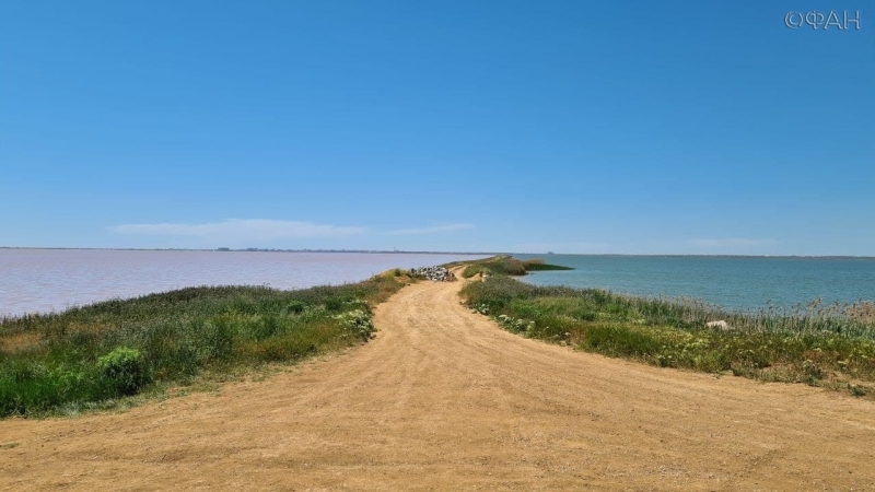 Цветные облака, пена и невероятный контраст: где найти розовое озеро в Крыму