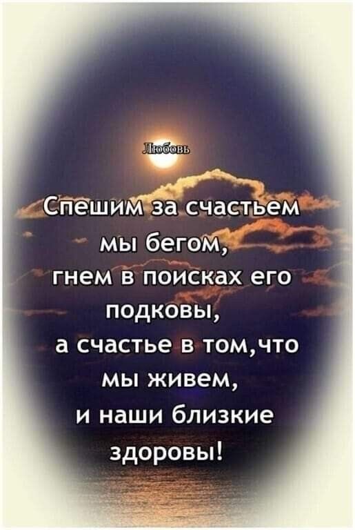 Подборка шуток Подборка шуток