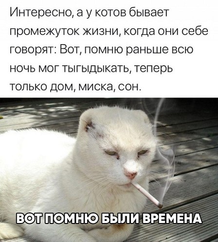 Дождались! Новая подборка юмора 