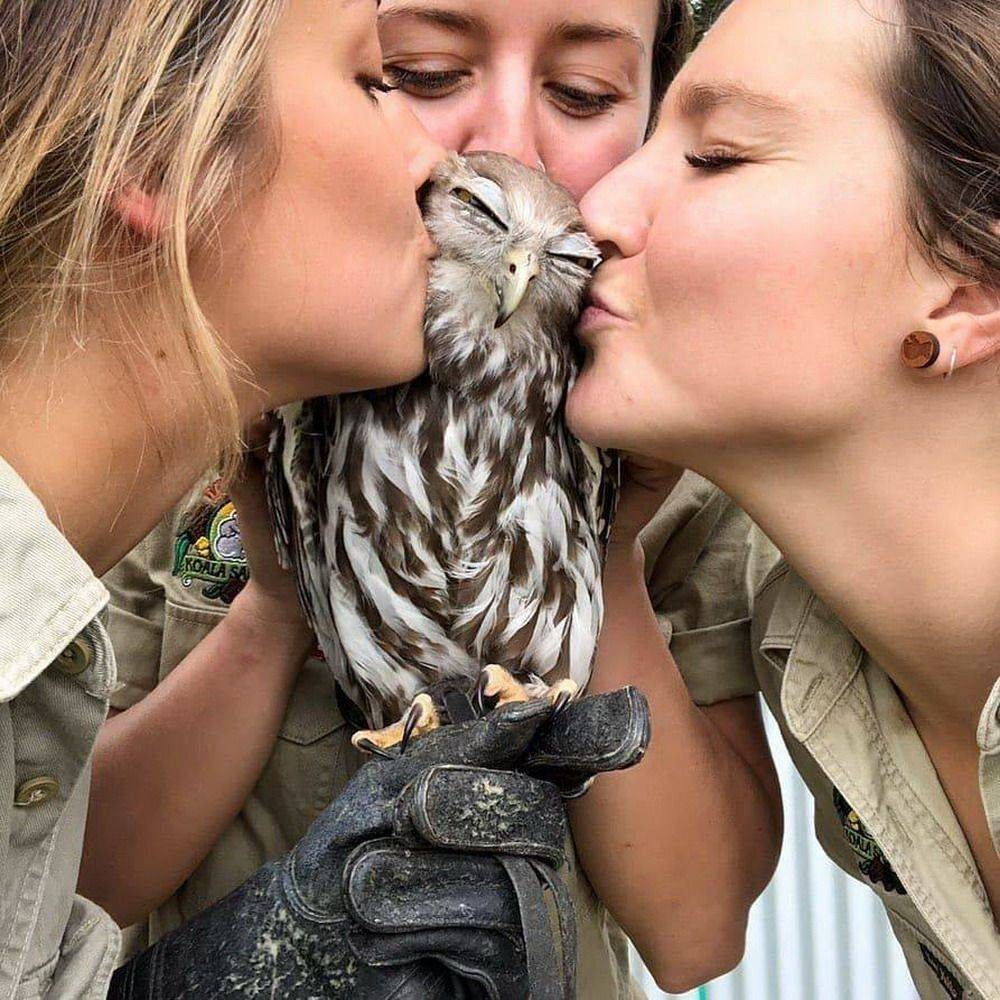 Поцелуй с животным