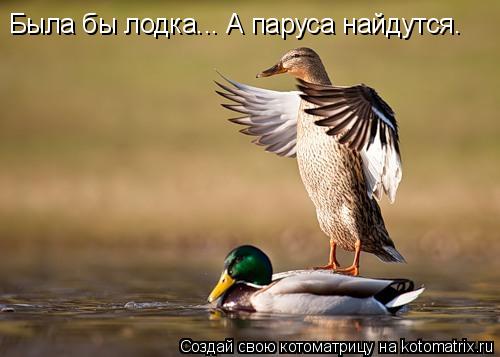 Мысли вслух :)