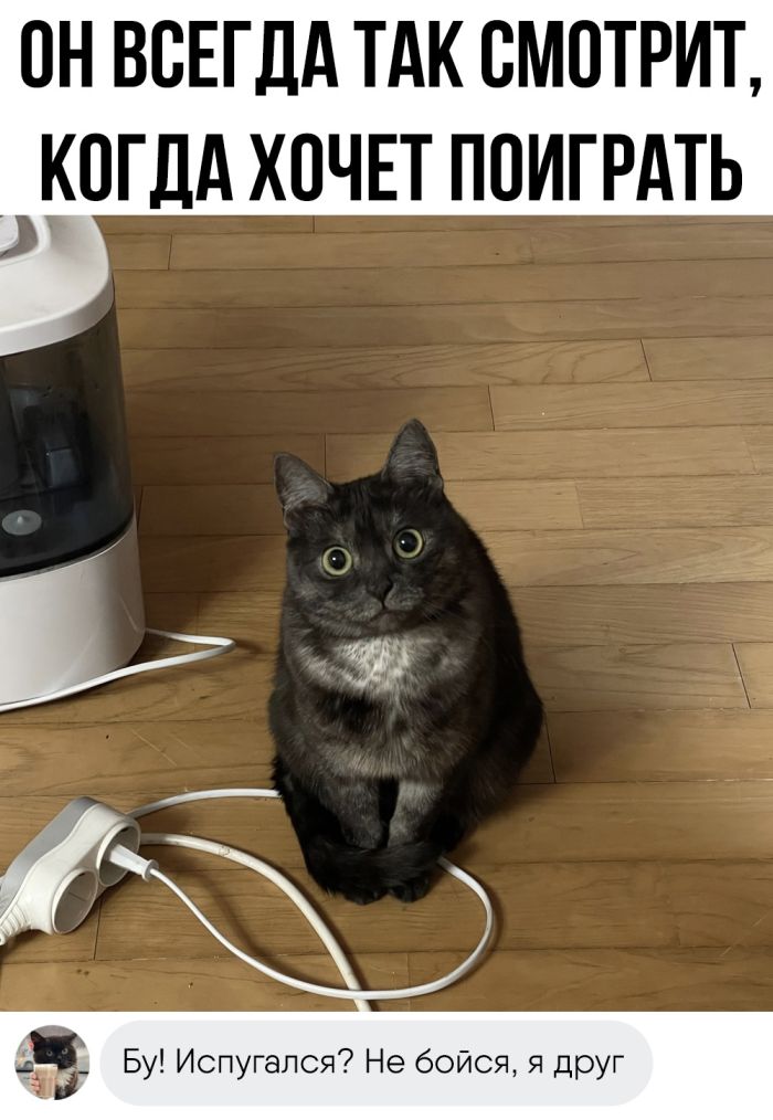 Комментарии с перчинкой — приправляют пост, как острый соус 