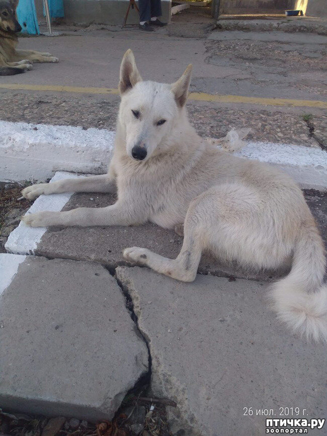 История со счастливым концом