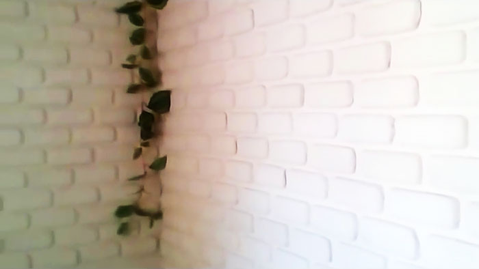 Бесплатный декор и утепление стен идеи для дома,своими руками