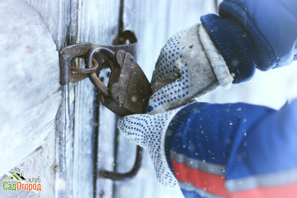 : depositphotos.com