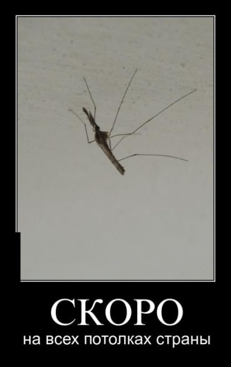 Демотиваторы (30 фото)