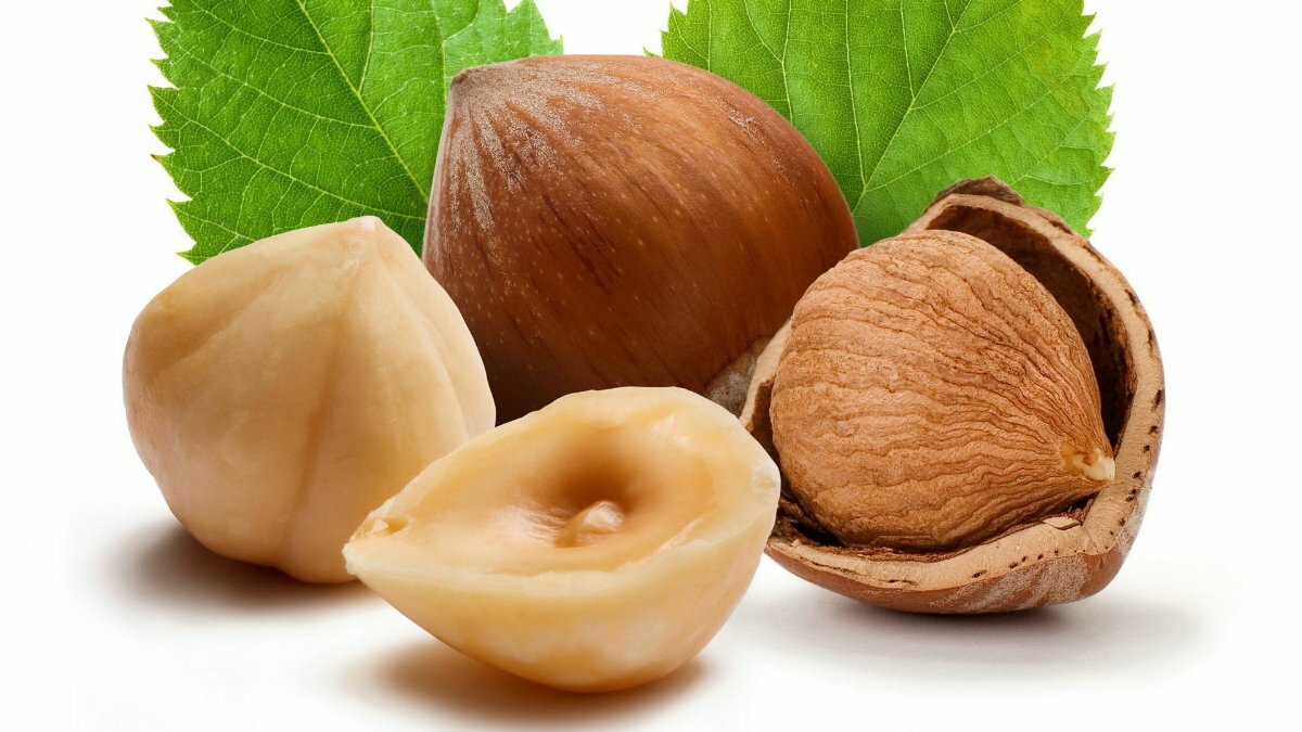 10 самых популярных орехов